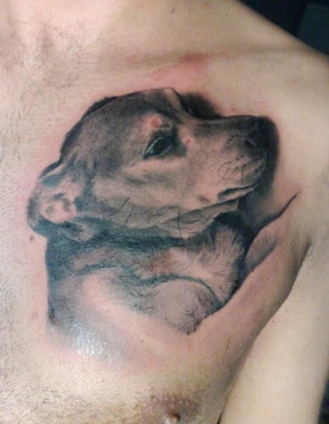 Matteo-Pasqualin-Realistic-Black-and-Gray-Dog-Memorial-Tattoo