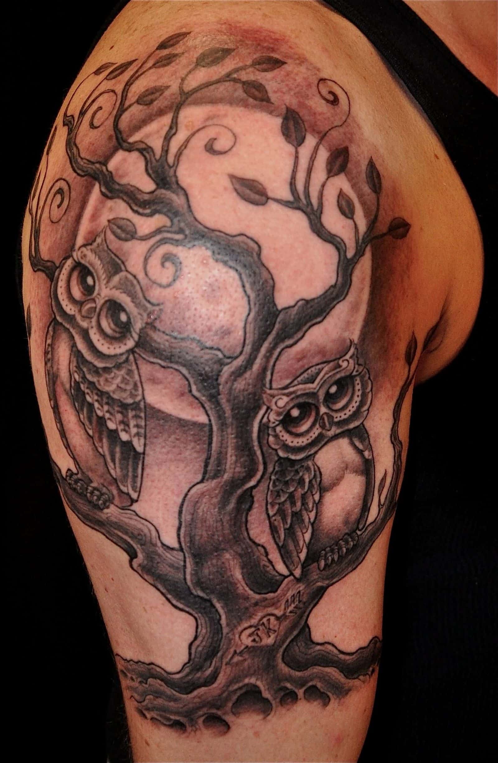 Black Ink Two Owl On Tree Tattoo On Right Half Sleeve