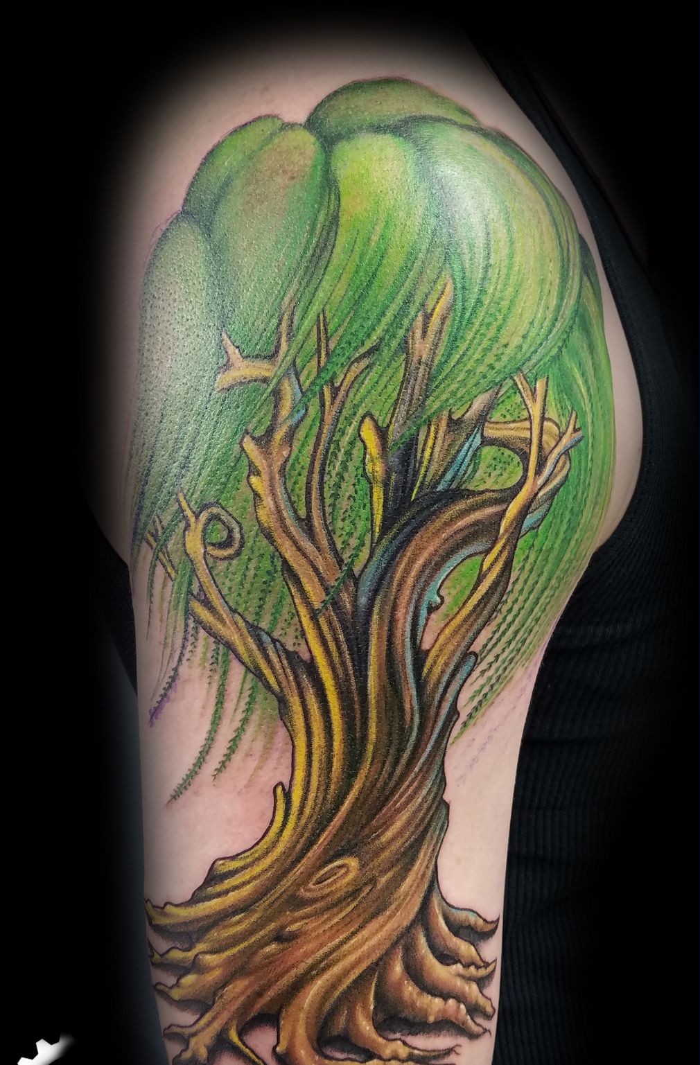 Willow Tree Shoulder Tattoo