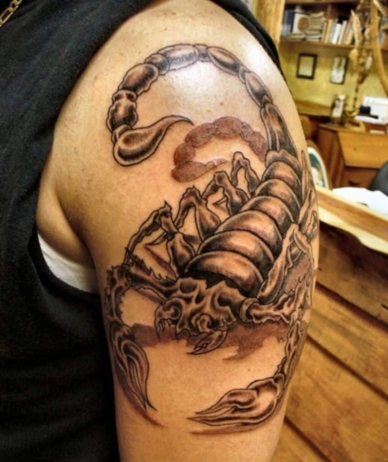 scorpion tattoos on arm