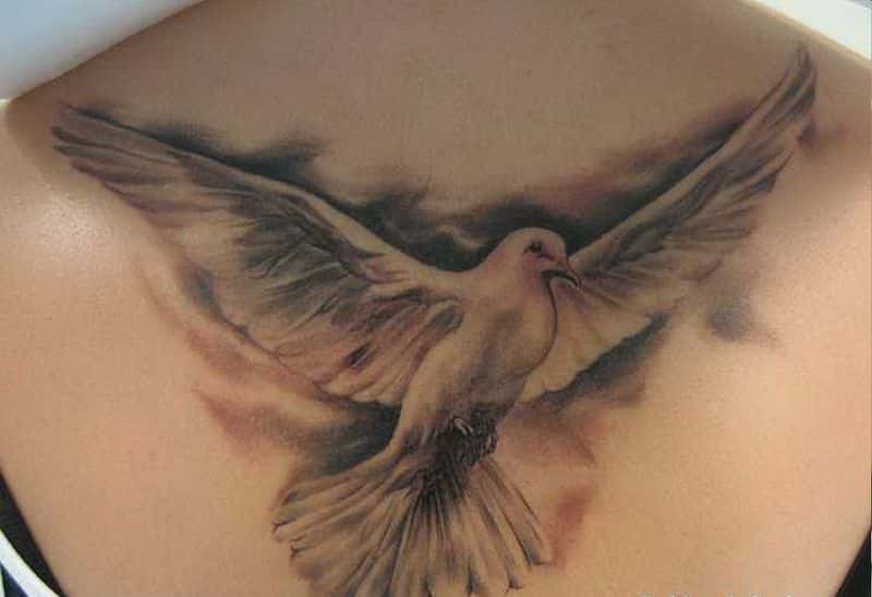 Dove Tattoo Artistsorg Pictures