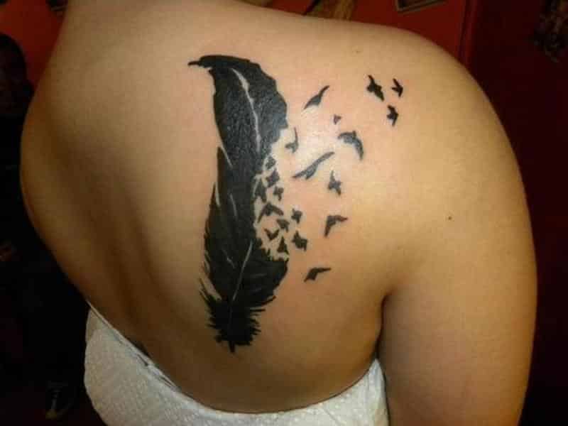 Feather Birds Tattoo Design On Back Of Shoulder