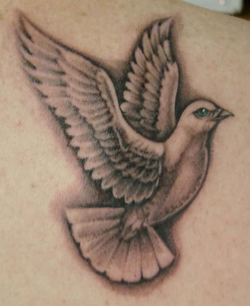 Grey Ink Dove Tattoo Image