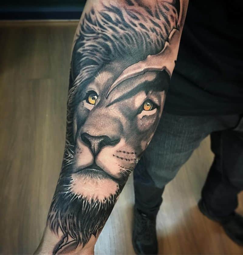 king Lion Forearm Tattoos