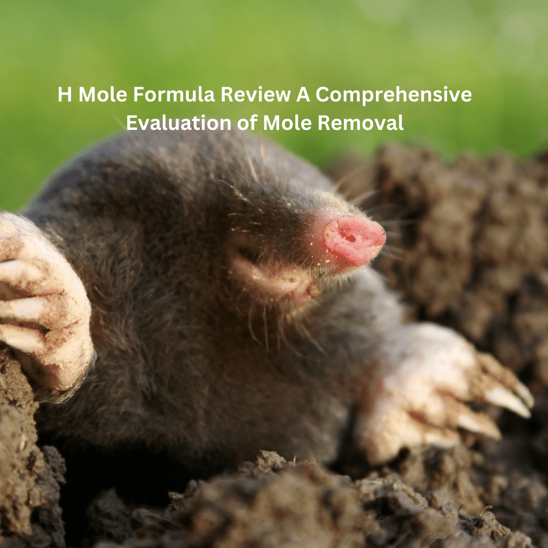 H Mole Formula Review A Comprehensive Evaluation of Mole Removal
